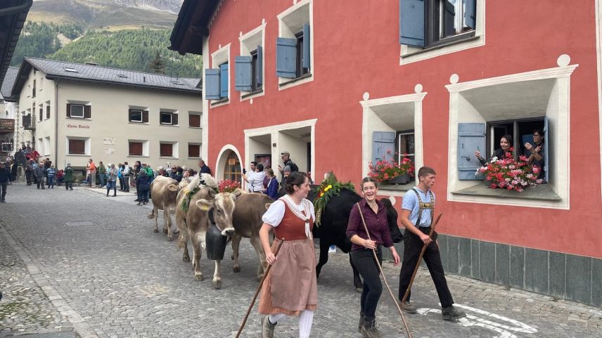 Impressionen vom Alpabzug in Celerina. Foto: Reto Stifel