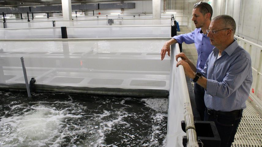 Matthias Laube (links) und Adrian Horst beobachten die Tiere. Die Gitter am Beckenrand wurden erst nachträglich angebracht. Sie verhindern, dass die Tiere aus dem Wasser ins Trockene springen. Fotos: Stefanie Wick Widmer