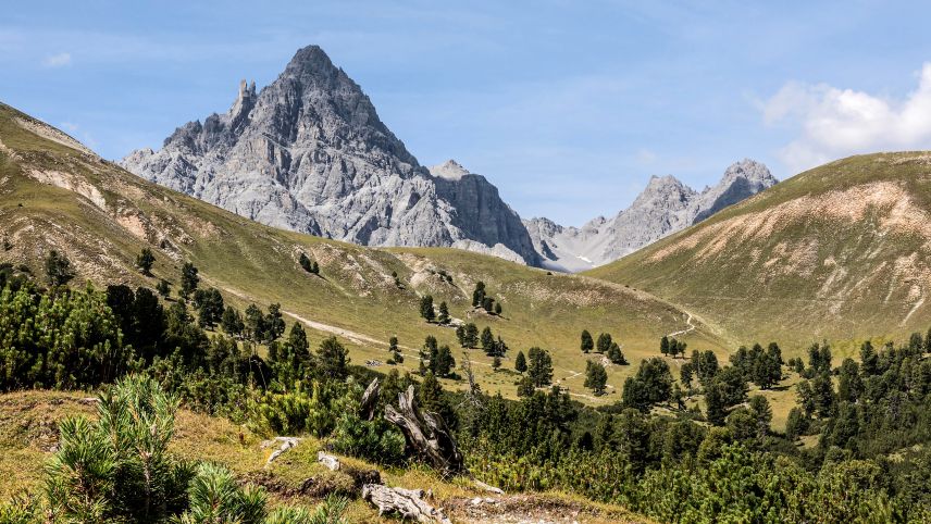 Foto: Schweizerischer Nationalpark