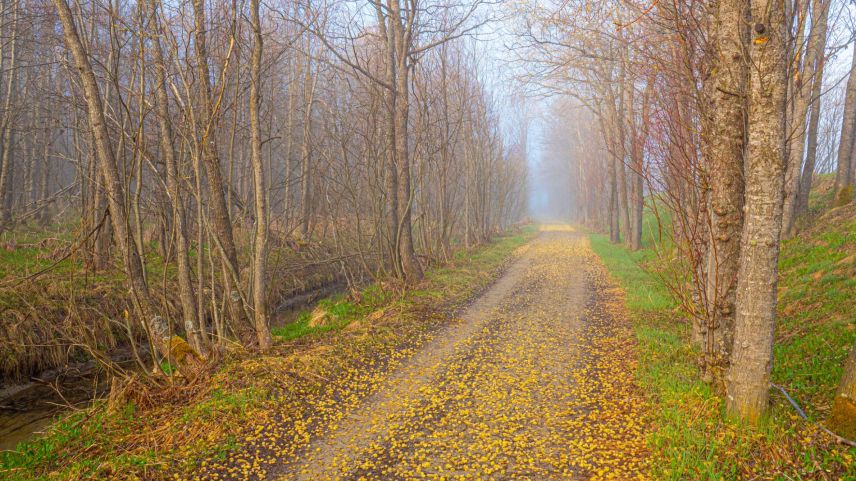 Ramponierter Radweg zwischen La Punt und Bever.  Foto: Daniel Zaugg
