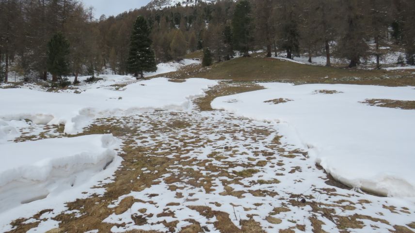 Foto: Katharina von Salis