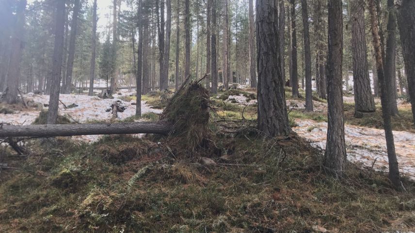 Umknicken oder Stehenbleiben? Fotos: Anne-Marie Flammersfeld