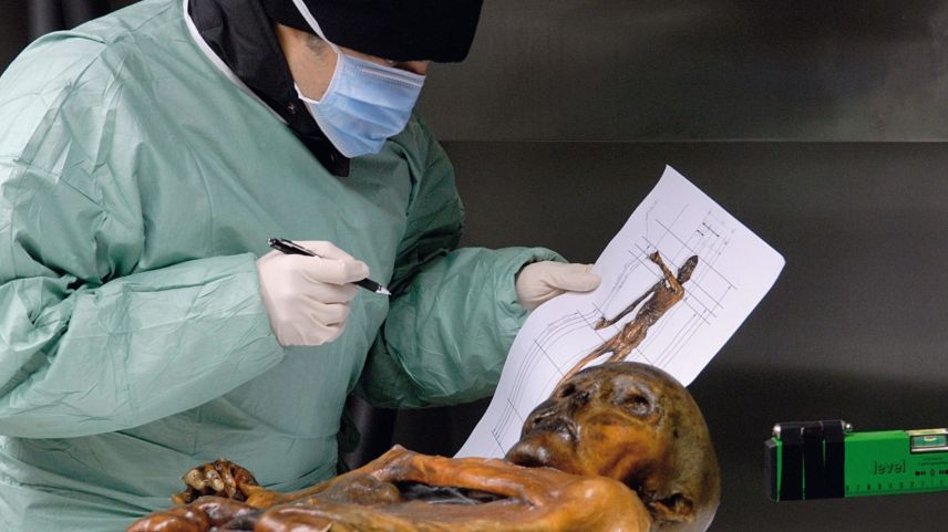 In mehr als 600 Einzeluntersuchungen ging man dem Leben von Ötzi auf den Grund. Er ist der am besten untersuchte Mensch weltweit. 
Foto: Südtiroler Archäologiemuseum, Eurac, Samadelli Staschitz