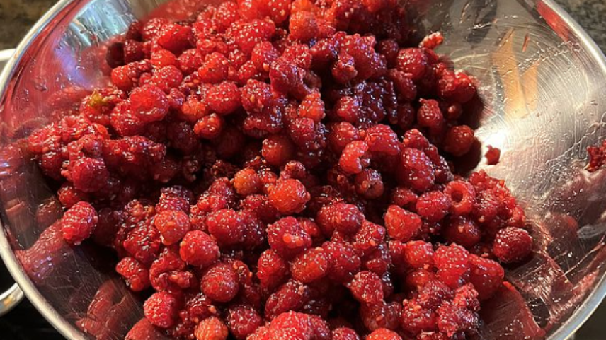 Foto: Anne-Marie Flammersfeld