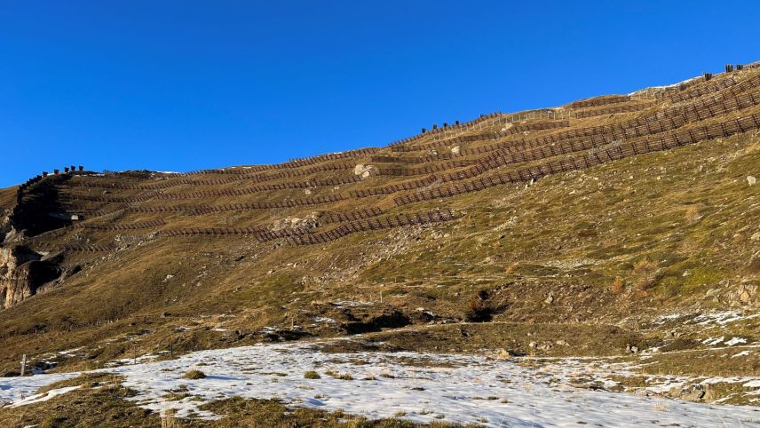 L’areal culs repars da lavina sü Munt da Lü, suot il Muntet, vain evaluà sco ün lö pussibel per ün implant solar plü grond in Val Müstair (fotografia: David Truttmann).