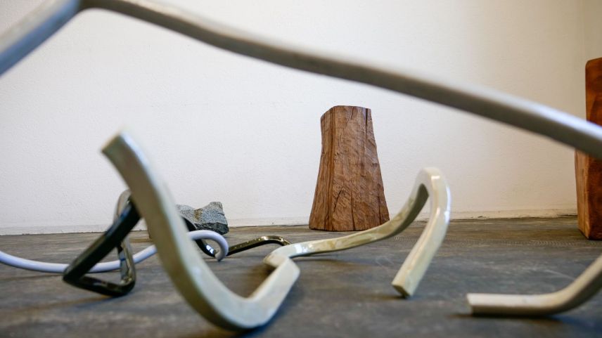 «Counter Views» mit Werken von Stéphanie Bächler (vorne) und Holzskulpturen von Reto Grond. Foto: Jon Duschletta