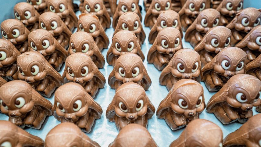 Die "Hasenarmee" ist bereit für den grossen Auftritt beim Osterfest. 