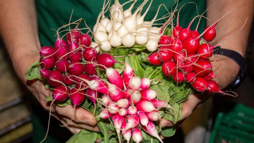 Foto: Stefanie Wick Widmer