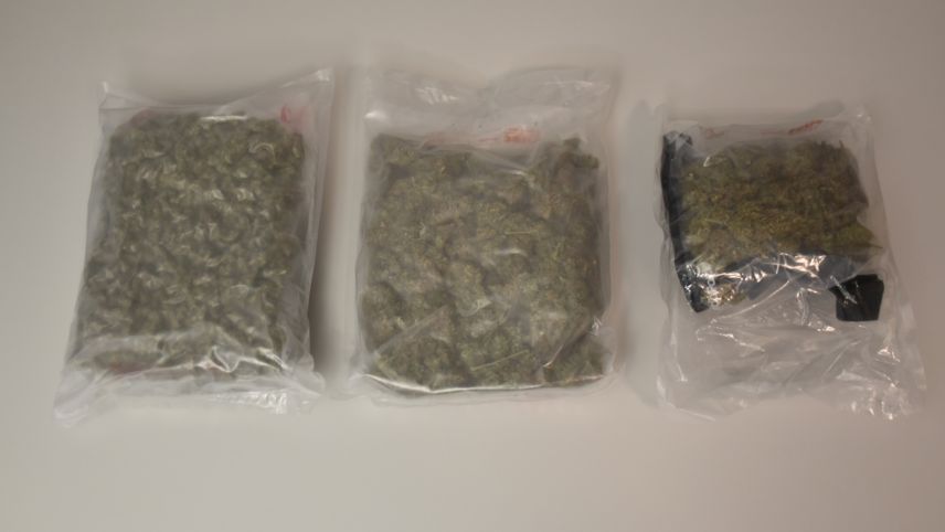 Das am Freitagabend sichergestellte Marihuana war in Plastikbeutel abgepackt. Foto: kapo