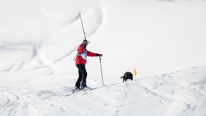 Impressionen von der Lawinenhunde Schweizermeisterschaft. Foto: Andrea Furger 