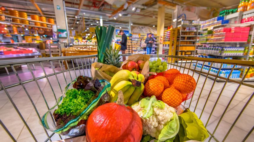 Foto: www.shutterstock.com/Rudmer Zwerver