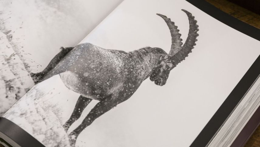 Alle Bilder sind schwarz-weiss. Foto: Gian Giovanoli