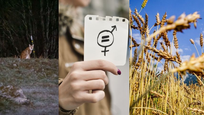 Welches Thema soll es sein: Geschlechtergleichstellung, die Erschliessung und Bewahrung von Lebensräumen im Engadin oder Nachhaltigkeit? Fotos: shutterstock.com/nito, Jon Duschletta, z. Vfg