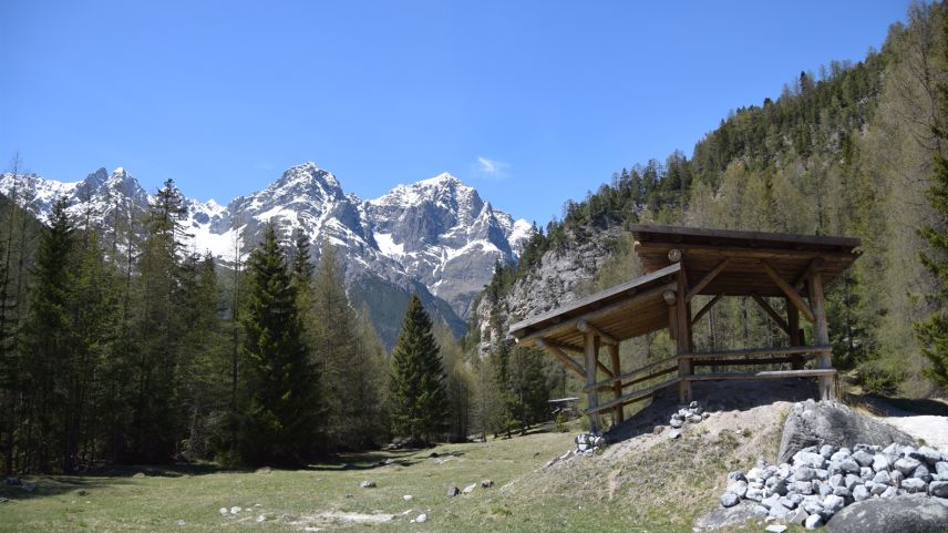 La Regenza sustegna la Biosfera Unesco Engiadina Val Müstair cun 150'000 francs l'on (fotografia: Biosfera Val Müstair). 