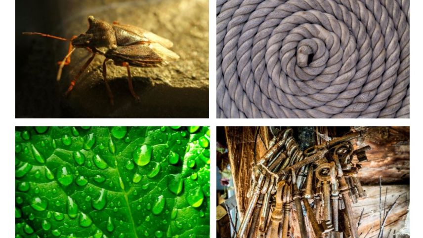 Fotos: Daniel Zaugg / z. Vfg.