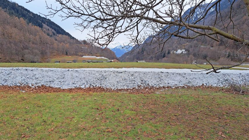 Die Situation bei der Lancierung der Petition und vor der Humusierung im März. Foto: Jane Bihr