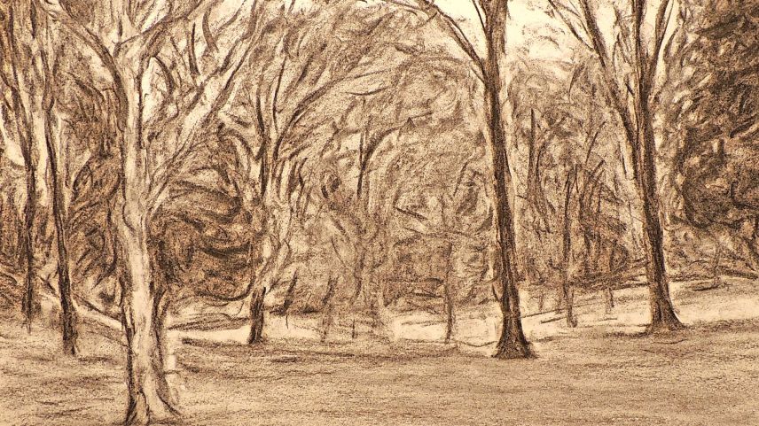 Üna da las ouvras cun strichs in rispli o charbun (fotografia: Benedict Stecher).