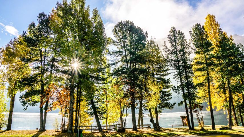 Goldener Herbst für St. Moritz: Der Gemeinde wird am kommenden Freitag das Energiestadt Gold-Label überreicht. Als 75. Gemeinde schweizweit und als erste im Kanton Graubünden. Foto: Jon Duschletta