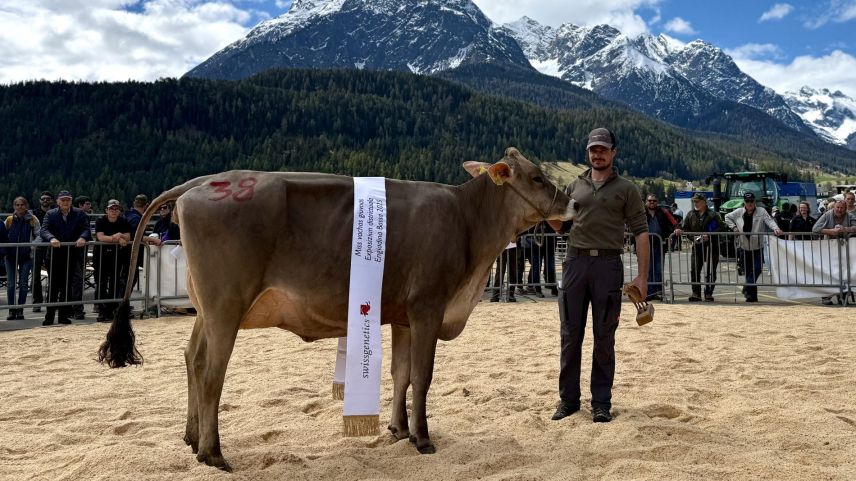 Miss Jungvieh! Foto: Fadrina Hofmann