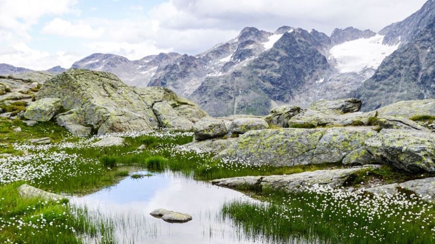 Foto: Jon Duschletta