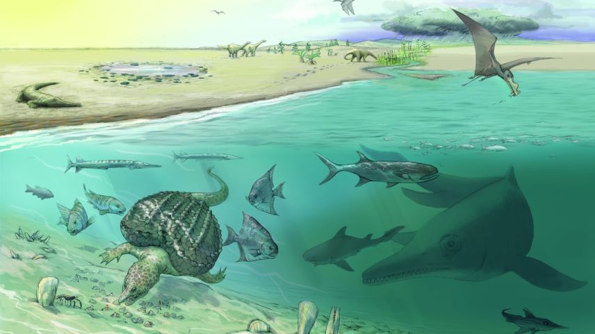 Die Illustration von Jeanette Rüegg zeigt das Lebensbild der Kössen-Formation. Illustration: zVg