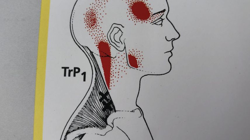 Macht der Mai wirklich alles neu?