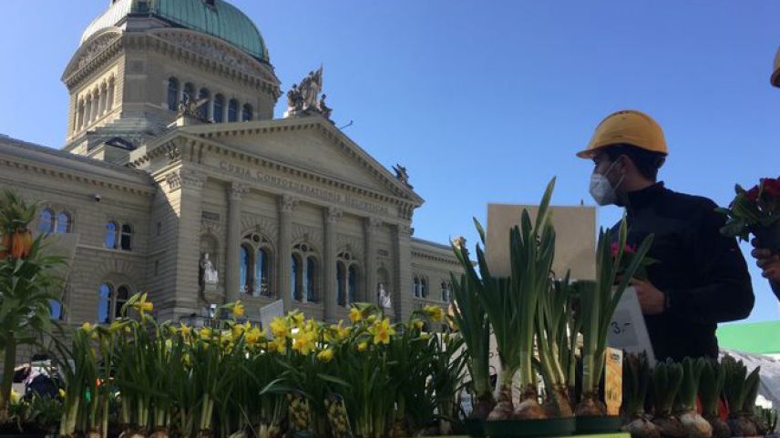 Der Berner Märit ist ein Unikum: Seit Jahren Woche für Woche vor dem Parlament aufgebaut. Foto: Ruth Bossart