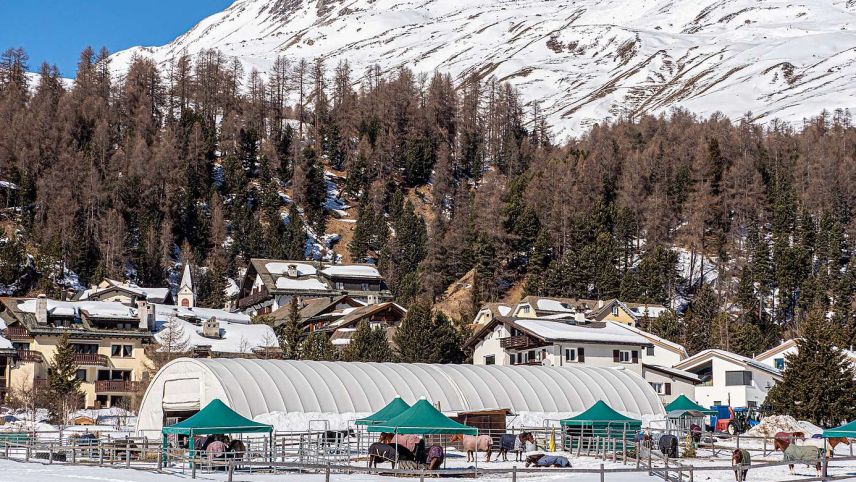 Das Rundbogenzelt in Champfèr muss gemäss dem Verwaltungsgericht zurückgebaut werden. Allerdings kann das Urteil weitergezogen werden. Foto: Daniel Zaugg