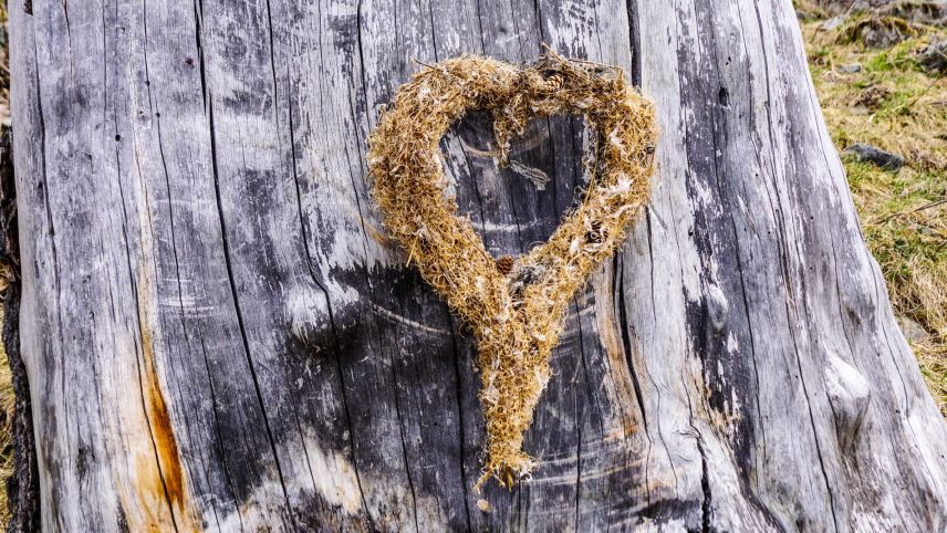 «Frisch verliebt in den Planeten Erde.» Unter diesem Motto will das WEF Wege finden, wie ethisches Handeln in den Alltag, in die Wirtschaft und die Politik integriert werden kann. Foto: Jon Duschletta