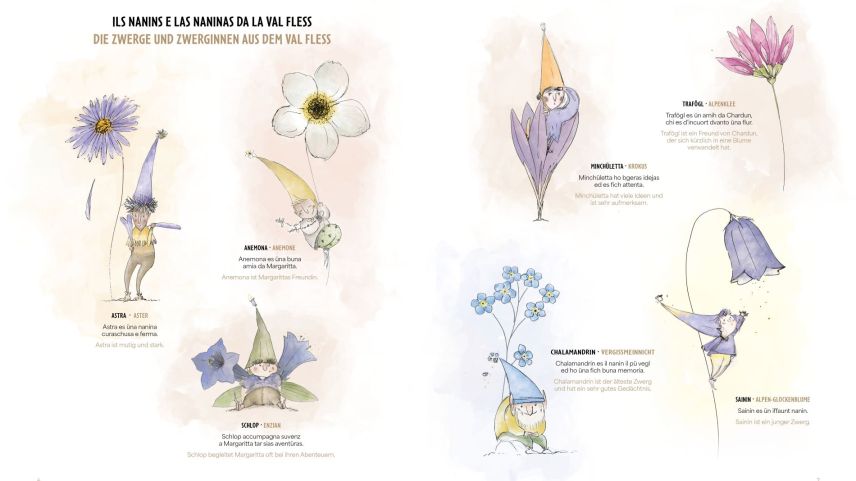 Die Illustrationen stammen von der Feder von Miriam Caligari. Illustration: Gammeter Media SA