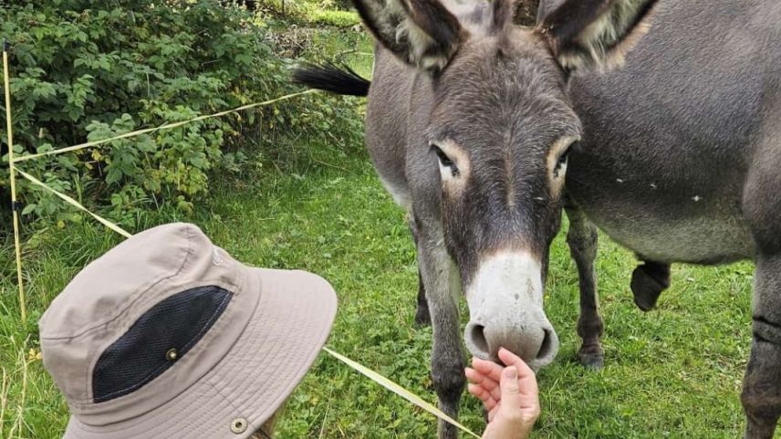 Tierische Begegnung. Foto: Tom Tobler