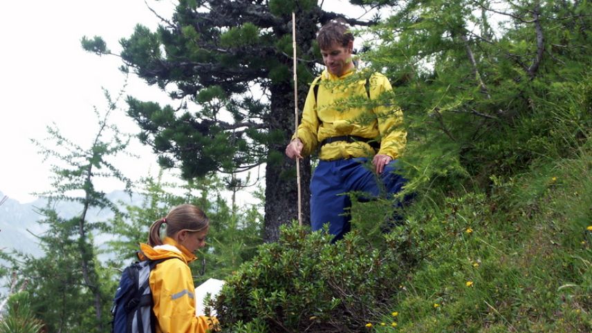 SLF-Forscher Peter Bebi (rechts) vermisst im Jahr 2005 die Bäume auf der Aufforstungsfläche gemeinsam mit der Masterstudentin Martina Forster. 
Foto: Ulrich Wasem / SLF