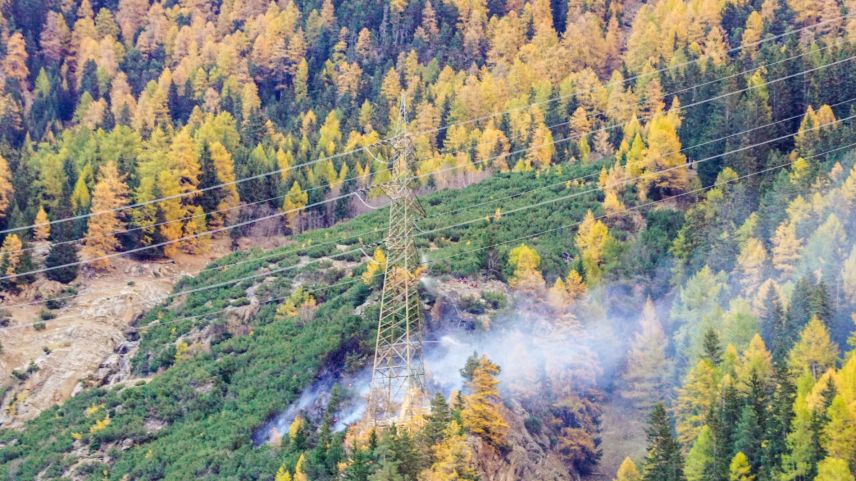 Ein gesunder, gepflegter Schutzwald schützt Mensch und Infrastruktur. Symbolbild: Jon Duschletta