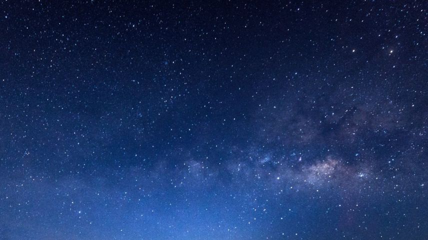 Foto: shutterstock.com/Thammanoon Khamchalee