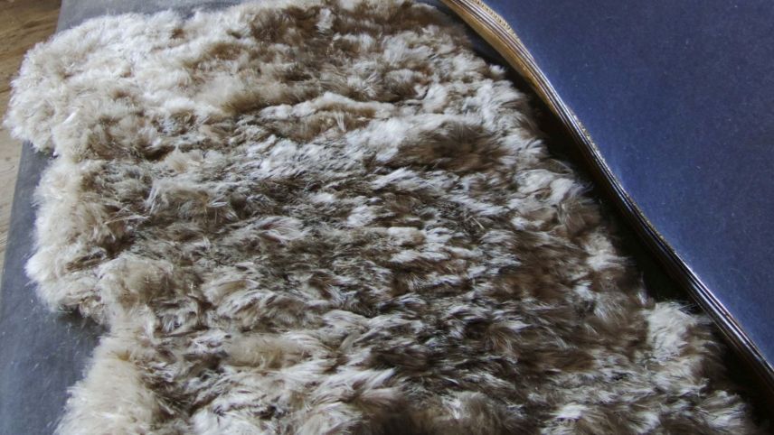 Myriam Gallo, veganes Fell, F.R.E.D.I., Distelsamen, 50 x 70 x 3 cm, 2018. Fotos: Bettina Gugger