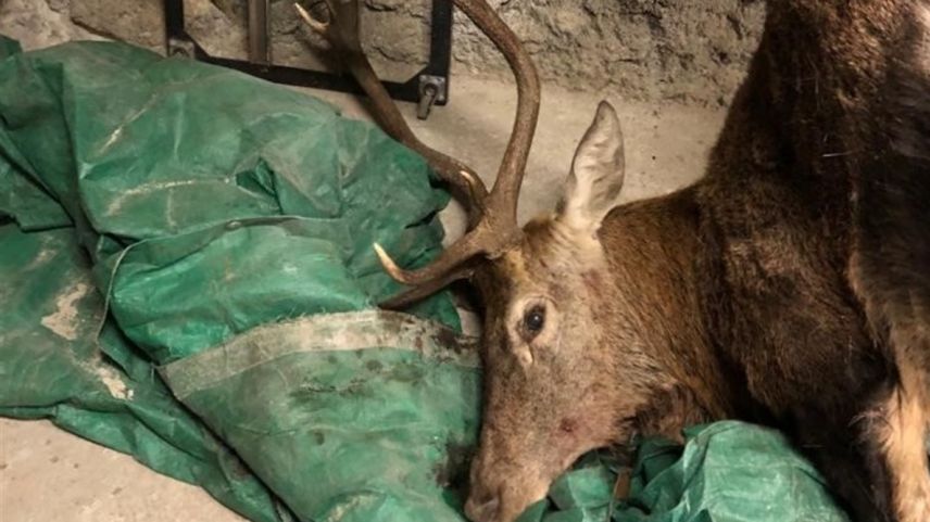 Foto: Kantonspolizei Graubünden