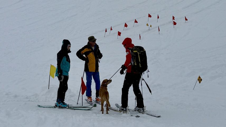Impressionen von der Lawinenhunde Schweizermeisterschaft 2025. Foto: Fadrina Hofmann