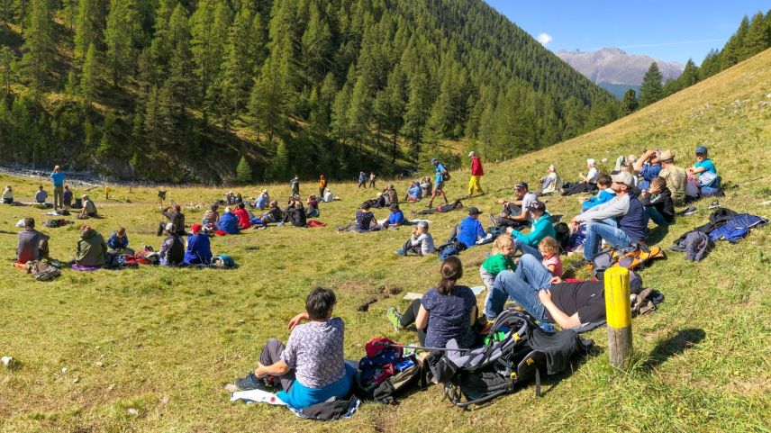 Il Parc Naziunal Svizzer ha gnü l’on passà ün record da visitaders (fotografia: Hans Lozza/PNS).