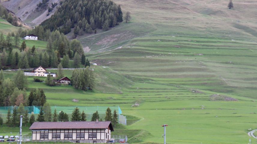 La Val Urezza a Zuoz. A dretta as rechatta il territori Arettas, inua ch’ün luf ho chaschuno la mort da set bês-chs  la fin d’eivna passeda (fotografia: Martin Camichel).