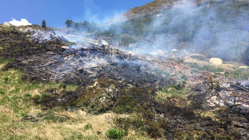 Der Mottbrand in Susch zerstörte Föhren und Weideland. Foto: Kantonspolizei