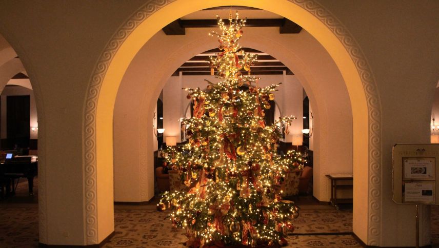 Der Star der kommenden Tage. Foto: Stefanie Wick Widmer