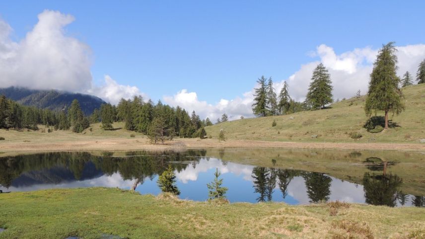 Il Lai Nair sur Tarasp es circundà da palüds (fotografia: Benedict Stecher).