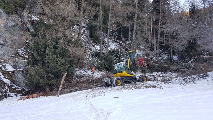 Ün collavuratur da l’uffizi forestal dal cumün da Val Müstair rumischa insembel cun ün’impraisa forestala la bos-cha terrada da la naiv.	(fotografia: Jörg Clavadetscher).