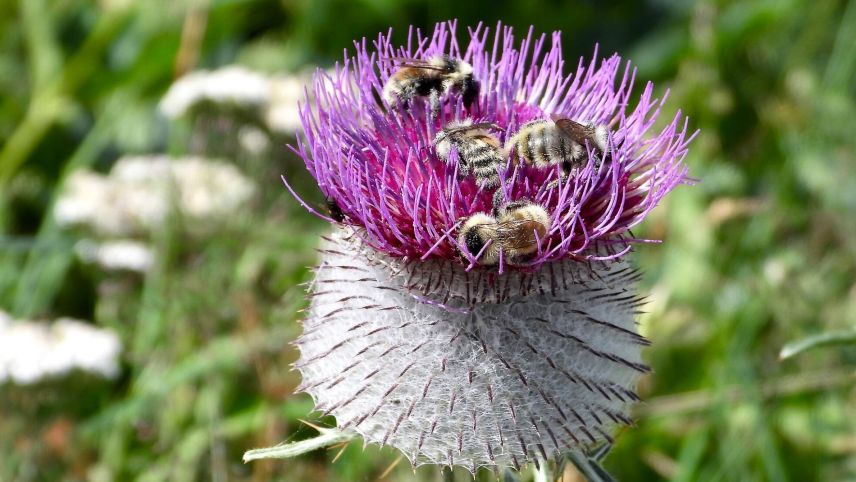 Foto: Monika Baumüller