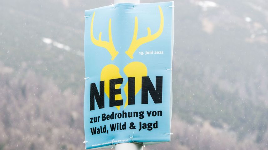 Trotz klarem Volks-Nein zur Jagdinitiative bleibt die Jagdpolitik gefordert, angeregte Verbesserungen weiter in die Jagdplanung einzubinden. Foto: Jon Duschletta