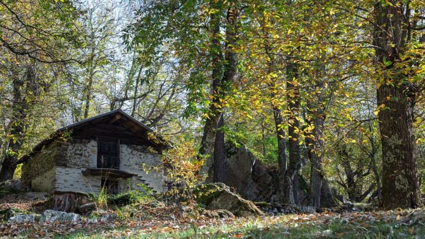 Dörrhäuschen im Kastanienwald. Foto: Marco Rubin