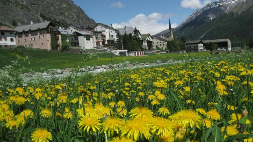 fotografia: Jon Duschletta