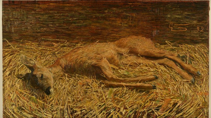 Das tote Rehlein. Bild: Segantini Museum