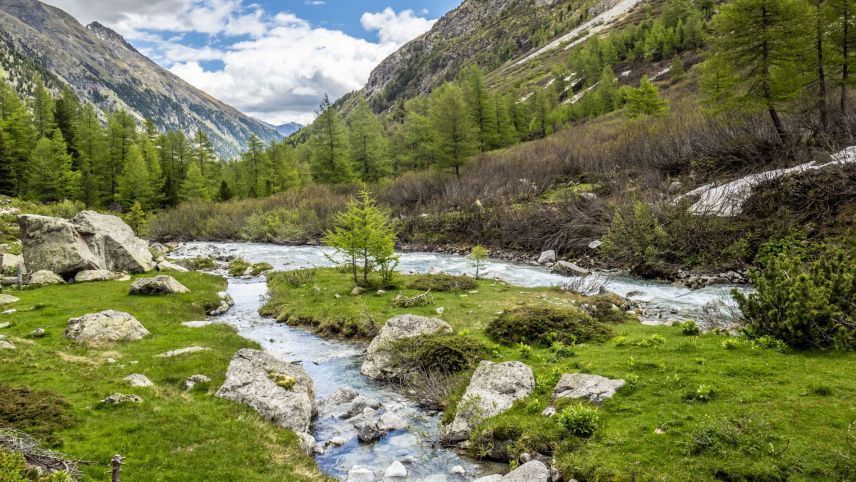 Der Beverin ist ausgezeichnet worden - als besonders schützenswertes Gewässer. Foto: Daniel Zaugg