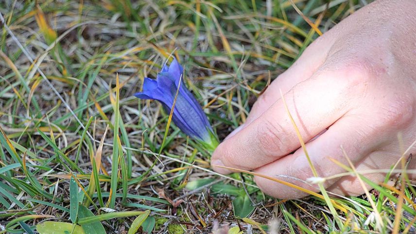 Foto: Stefanie Wick Widmer